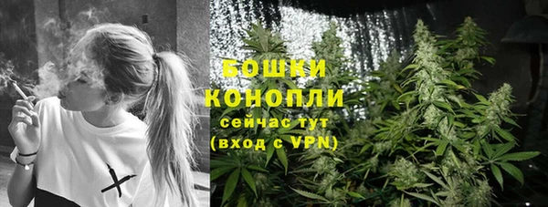 гидра Лиски