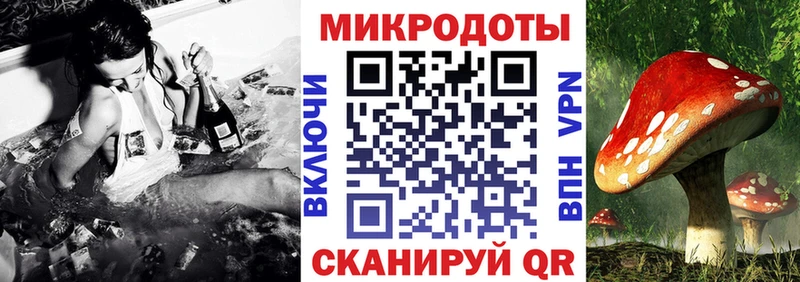 что такое наркотик  Лесозаводск  Псилоцибиновые грибы Magic Shrooms 